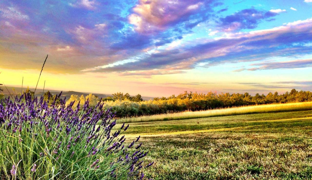 Sigonce La Colle En Provence Main House 빌라 외부 사진
