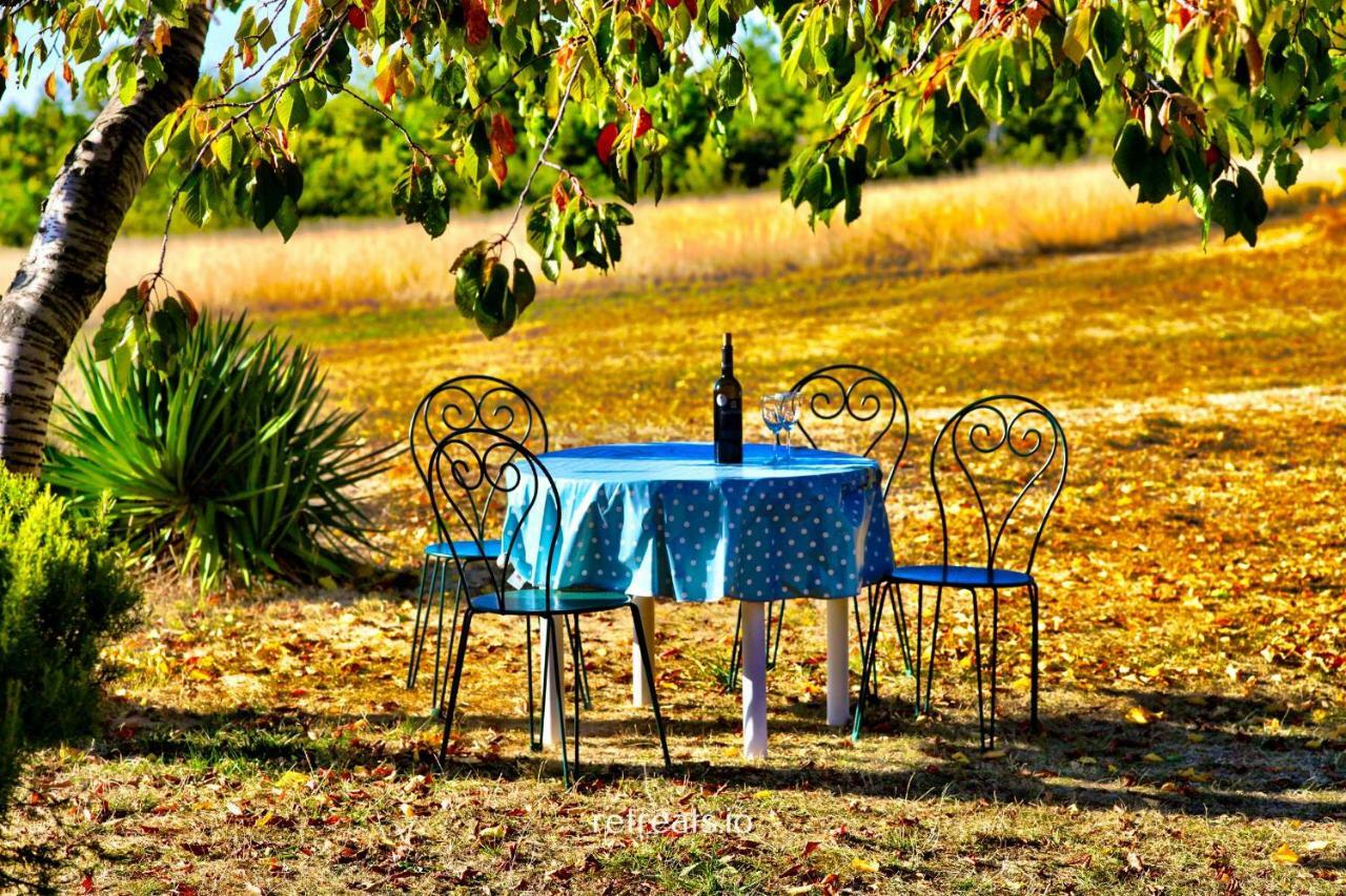 Sigonce La Colle En Provence Main House 빌라 외부 사진